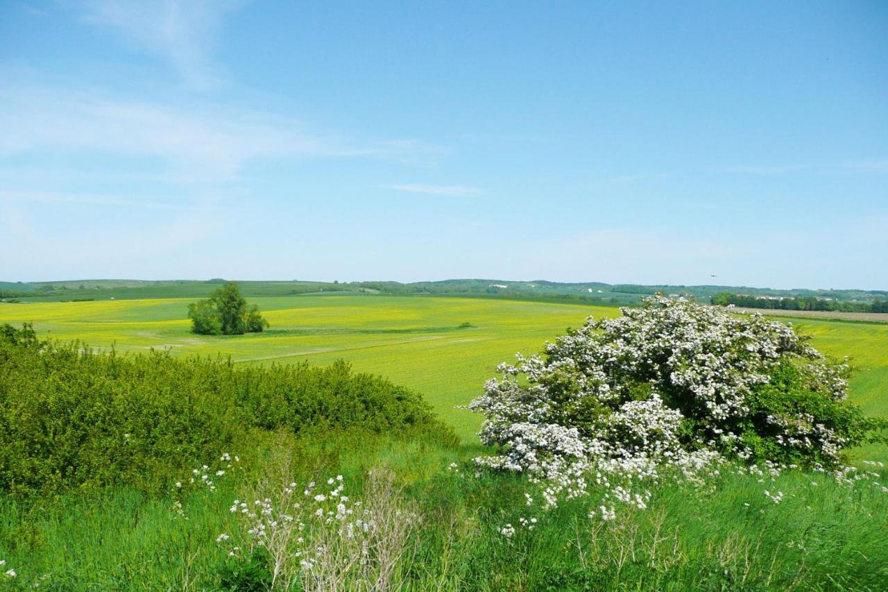 Ferienwohnung Mit Balkon Und Meerblick - Ferienresidenz Zwei Bodden Fewo 1-4 Lietzow Eksteriør billede
